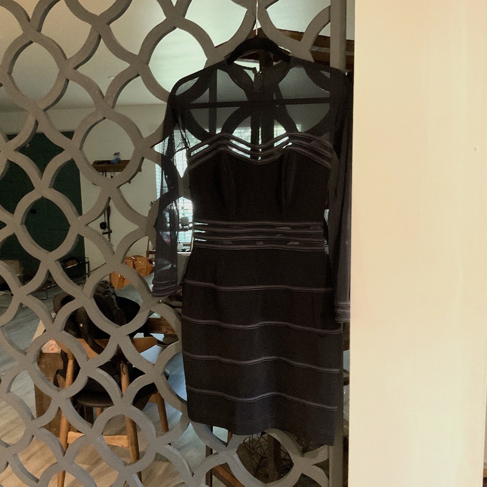 Black tie event dress, long sleeve see through cache dress